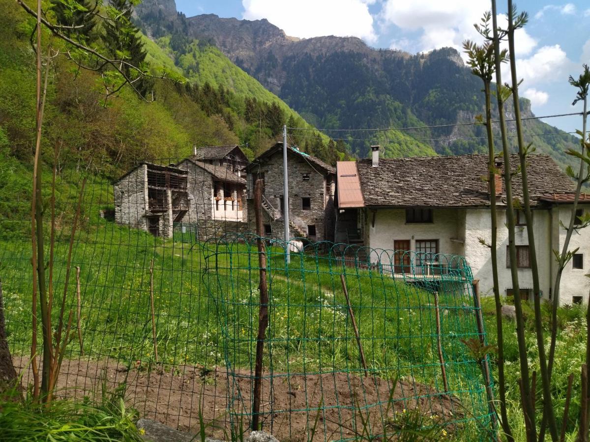 Il Fiume Di Fianco. Appartamento Alta Valsesia Mollia Exteriör bild